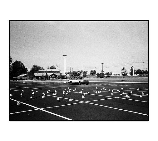 October Tri-X 400