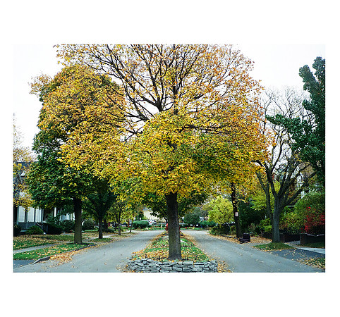 October Ultramax 400